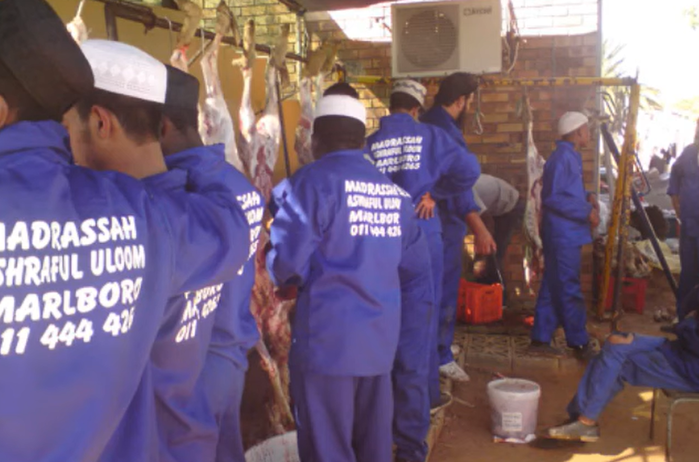 Early Qurbani Operations
